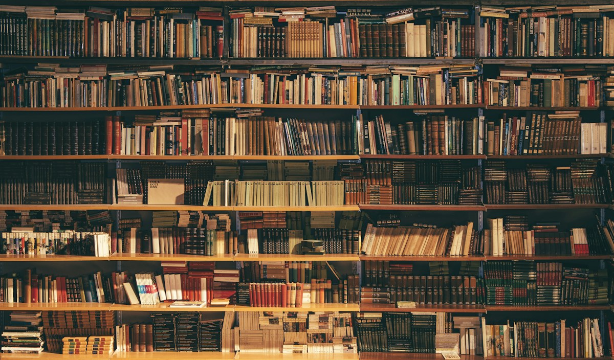 Library bookshelves — illustrative stock photo